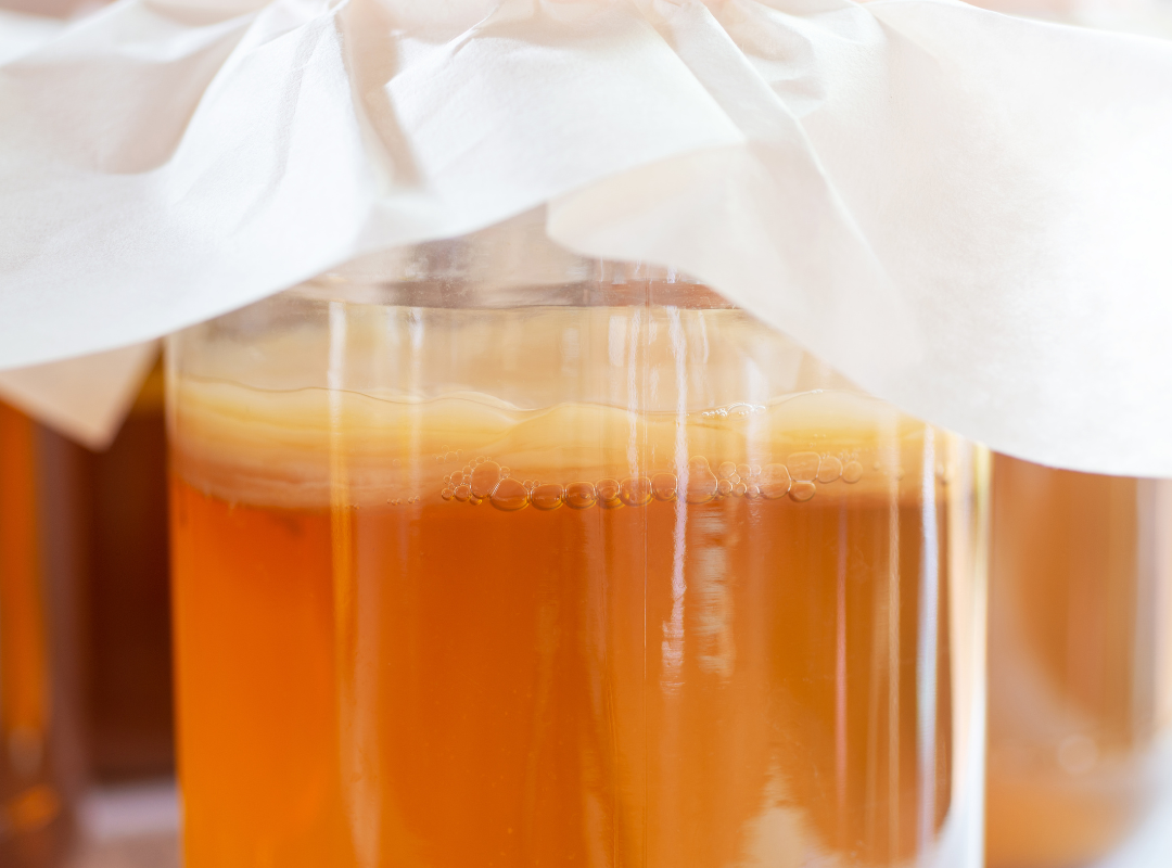 All About the SCOBY