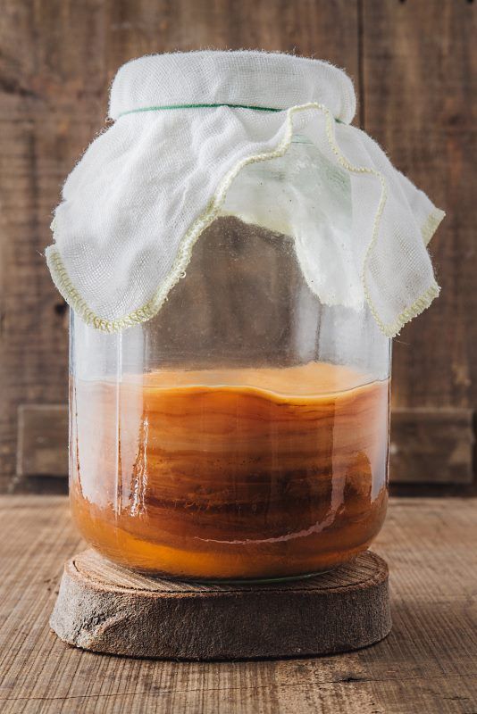 All About the SCOBY