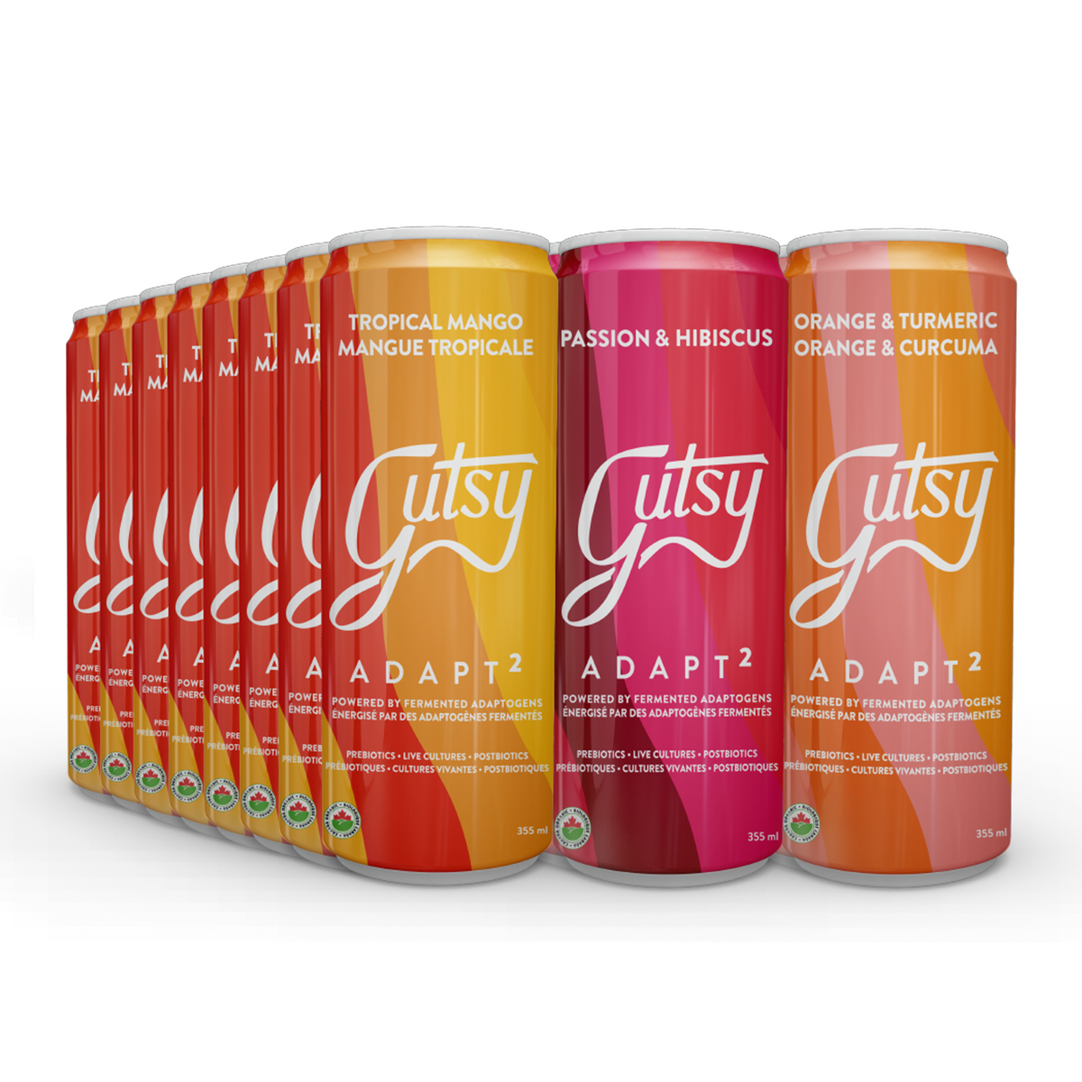 ADAPT²  | DISCOVERY PACKAGE | 24 PACK x 355ml